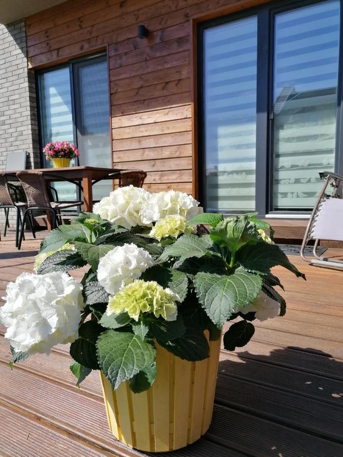 Geltoni Apartamentai Palanga Eksteriør billede