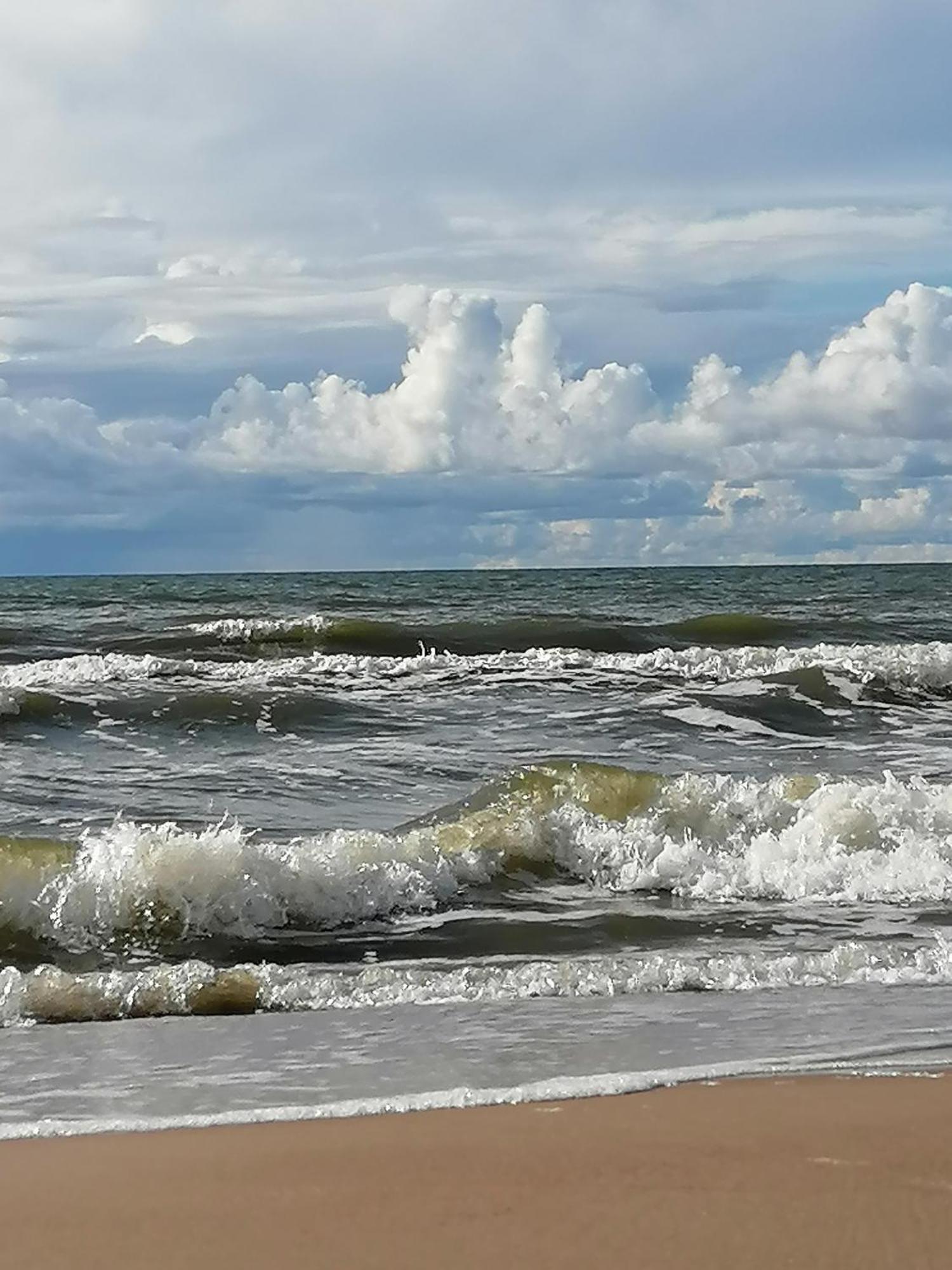 Geltoni Apartamentai Palanga Eksteriør billede