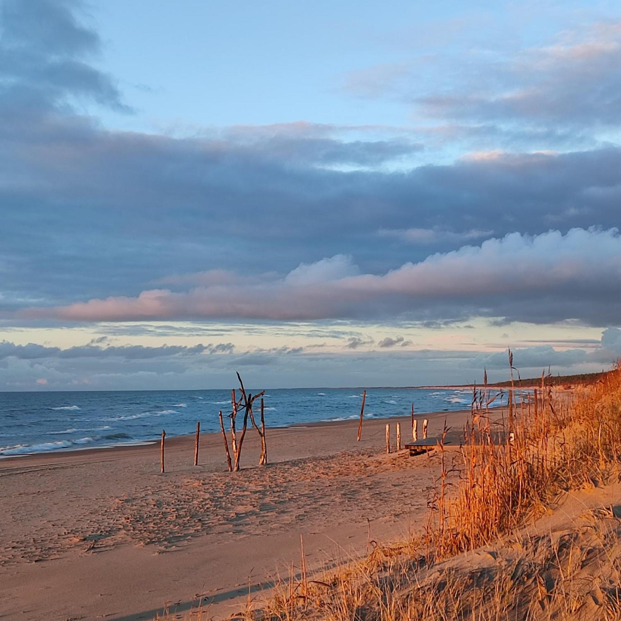 Geltoni Apartamentai Palanga Eksteriør billede