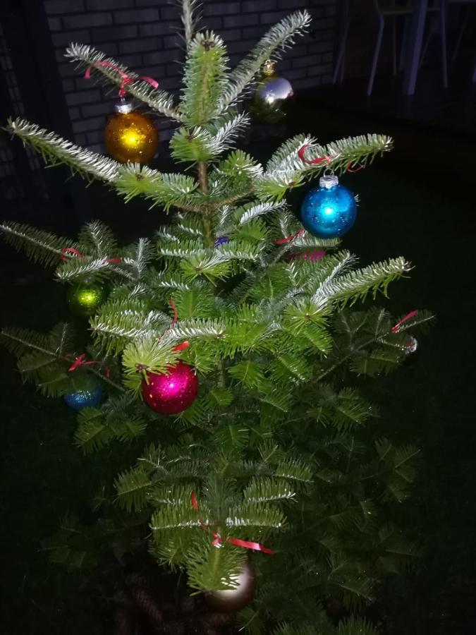 Geltoni Apartamentai Palanga Eksteriør billede